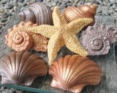 Seashell Soap - Gold, Copper and Brown Beach-Themed Soap Collection
