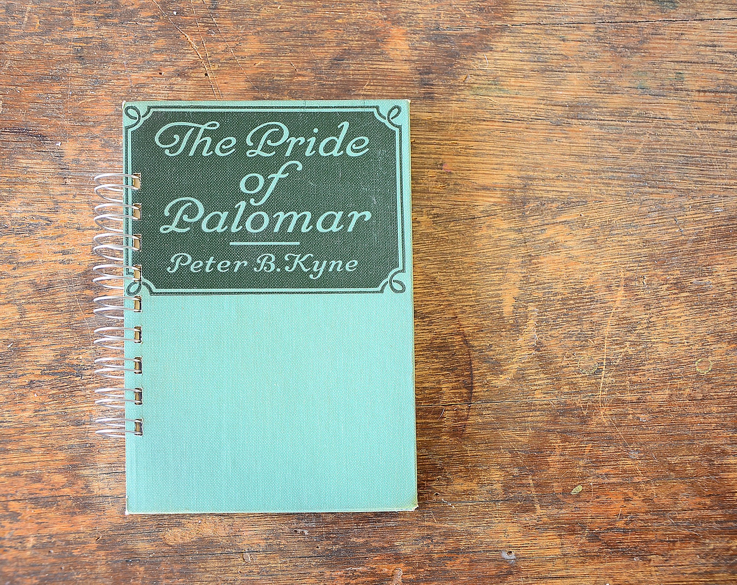 Vintage Book Journal .. The Pride of Palomar