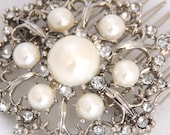 Kayleigh - Round Floral Hair Comb with Pearls and Rhinestones in Silver