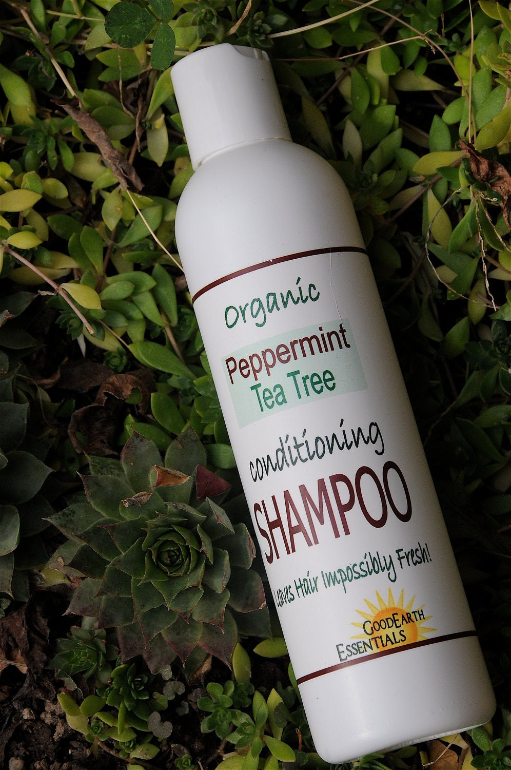 ORGANIC SHAMPOO, Peppermint and Tea Tree leave your hair impossibly fresh