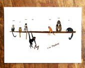 M is for Monkey