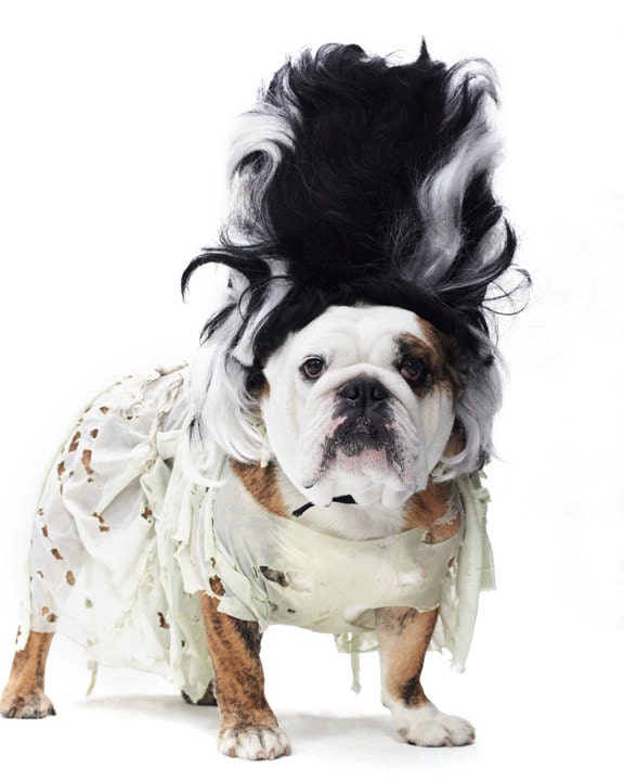 Chopstick the Bridge of Frankenstein - English Bulldog, 8 x 10 in. Archival Pigment Print