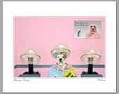 Beauty Shop, 11 X 14 matted photograph of American bulldog getting her hair done