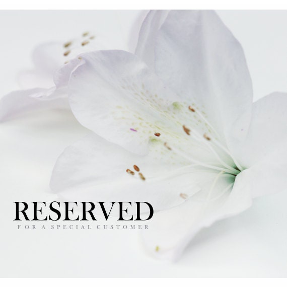 Reserved for Stephanie