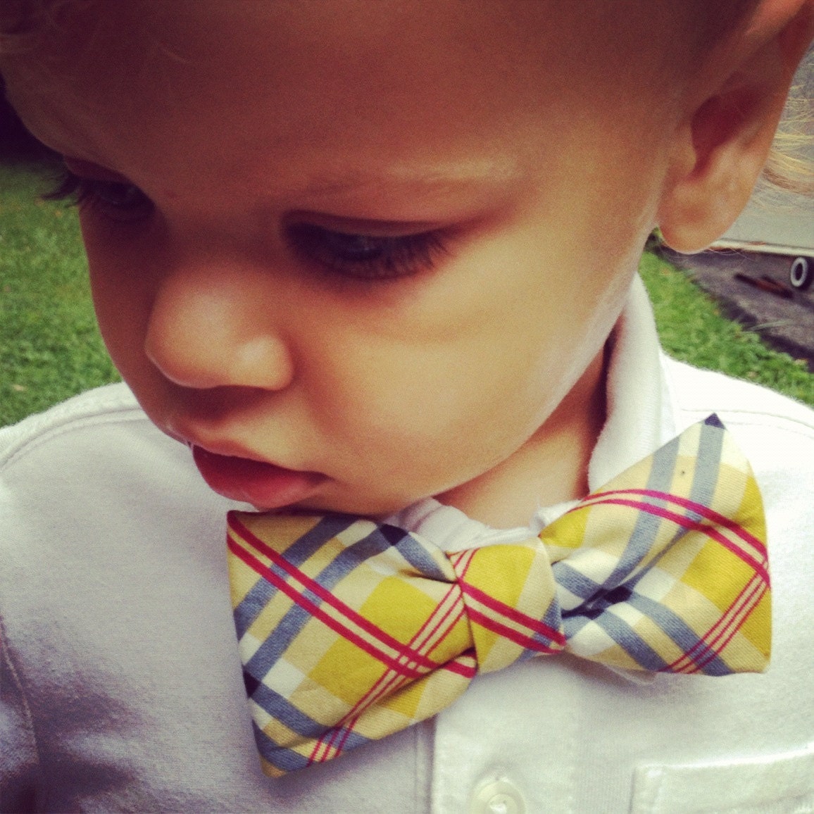 Little Man Bow Tie