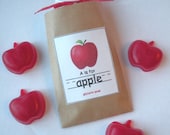 3 Bags of Apples Teacher Soap Gifts