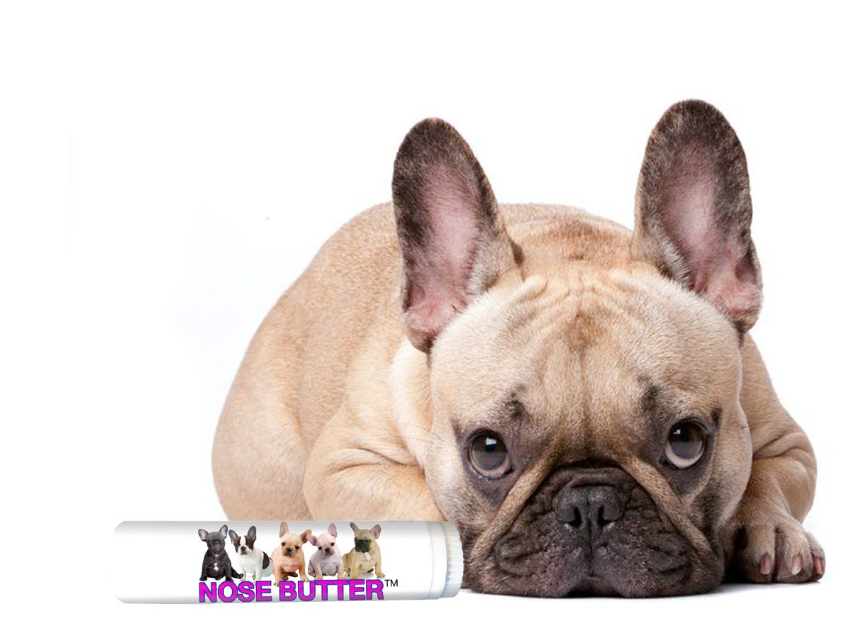 French Bulldog Nose Butter: Organic Balm Dry or Crusty Dog Nose Twist up Tube .15 oz