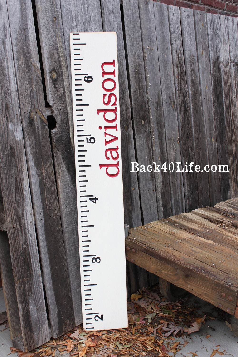 Premium wide ruler growth chart (The Davidson) - engraved lettering 60"