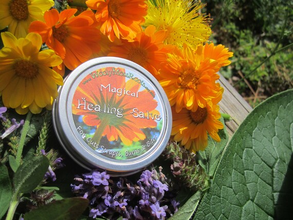 Herbal Salve- Magical Healing Salve- with Organic Herbs
