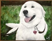Custom Pet Portrait 11 x 14 by Kristen Dougherty