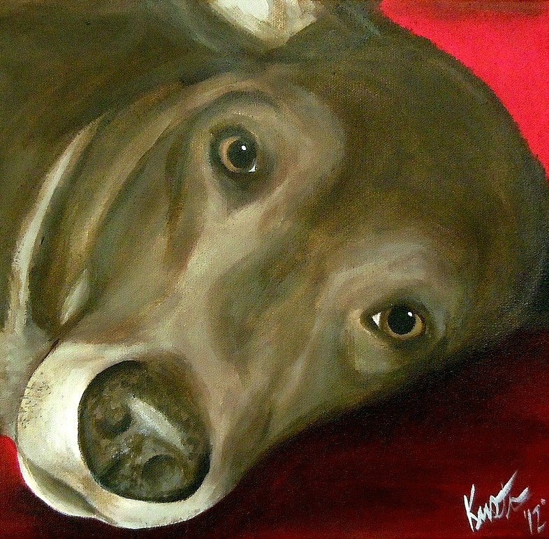 Custom Pet Portrait 12 x 12 by Kristen Dougherty-Great Gift