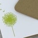 Dandelion Letterpress Notecard Set - Flower, Flat Note Cards, Chartreuse Green, Spring, Summer - 10 pack (NDD4)
