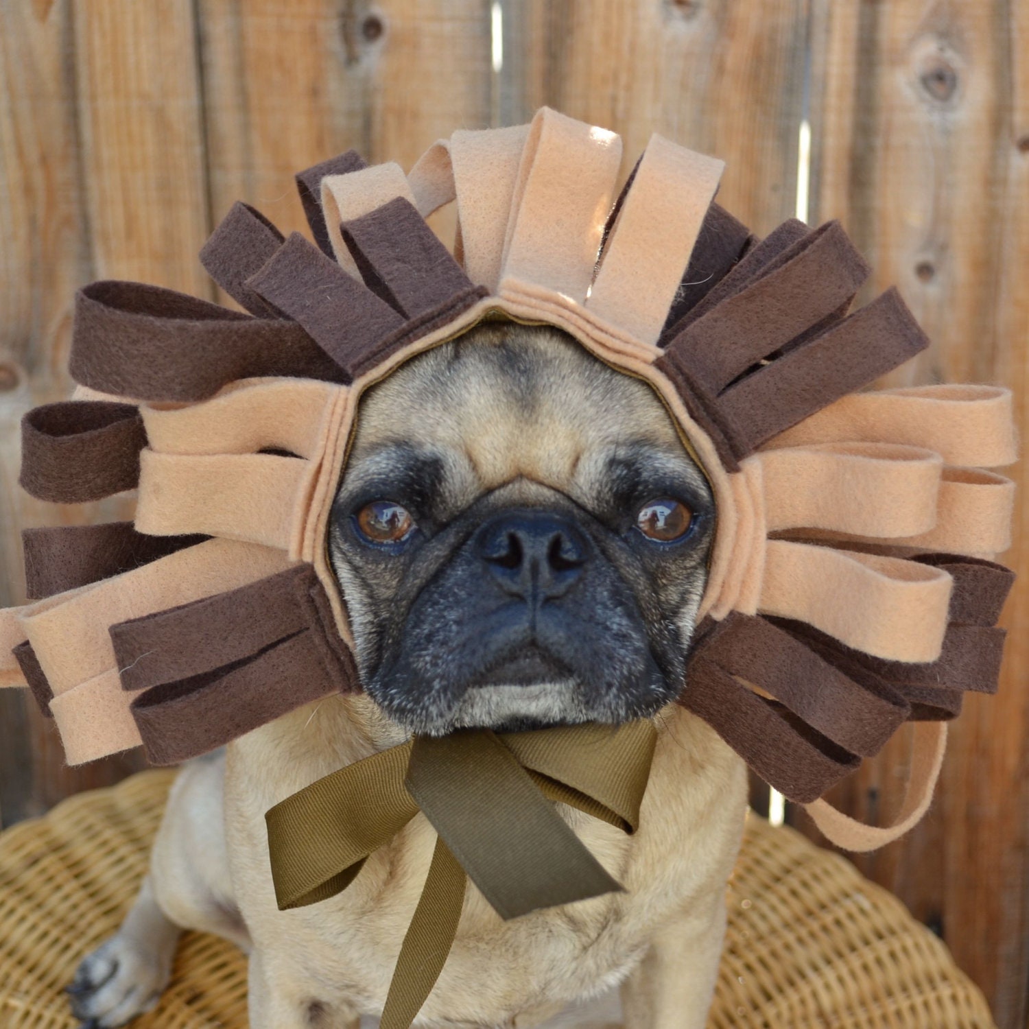 LION Dog costume, Halloween costume, lion king, roar, jungle theme - custom made for your pet any size