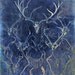 Antlers Art Photo "The Flash Pan Hunter Cyanotype" Woodland Forest Photograph Print - Rustic Cabin Hunting - Blue and White Sepia Photo