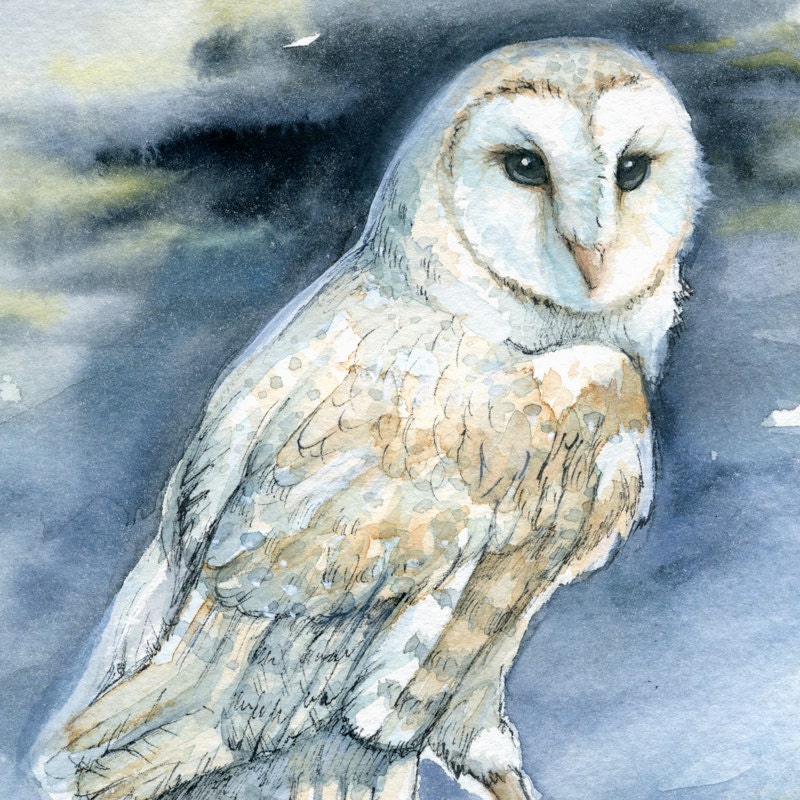 Ghost Owl - Barn Owl Print of Original Watercolor