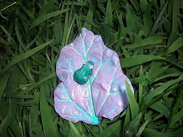 Tiny Tree Frog On A Lavender Leaf