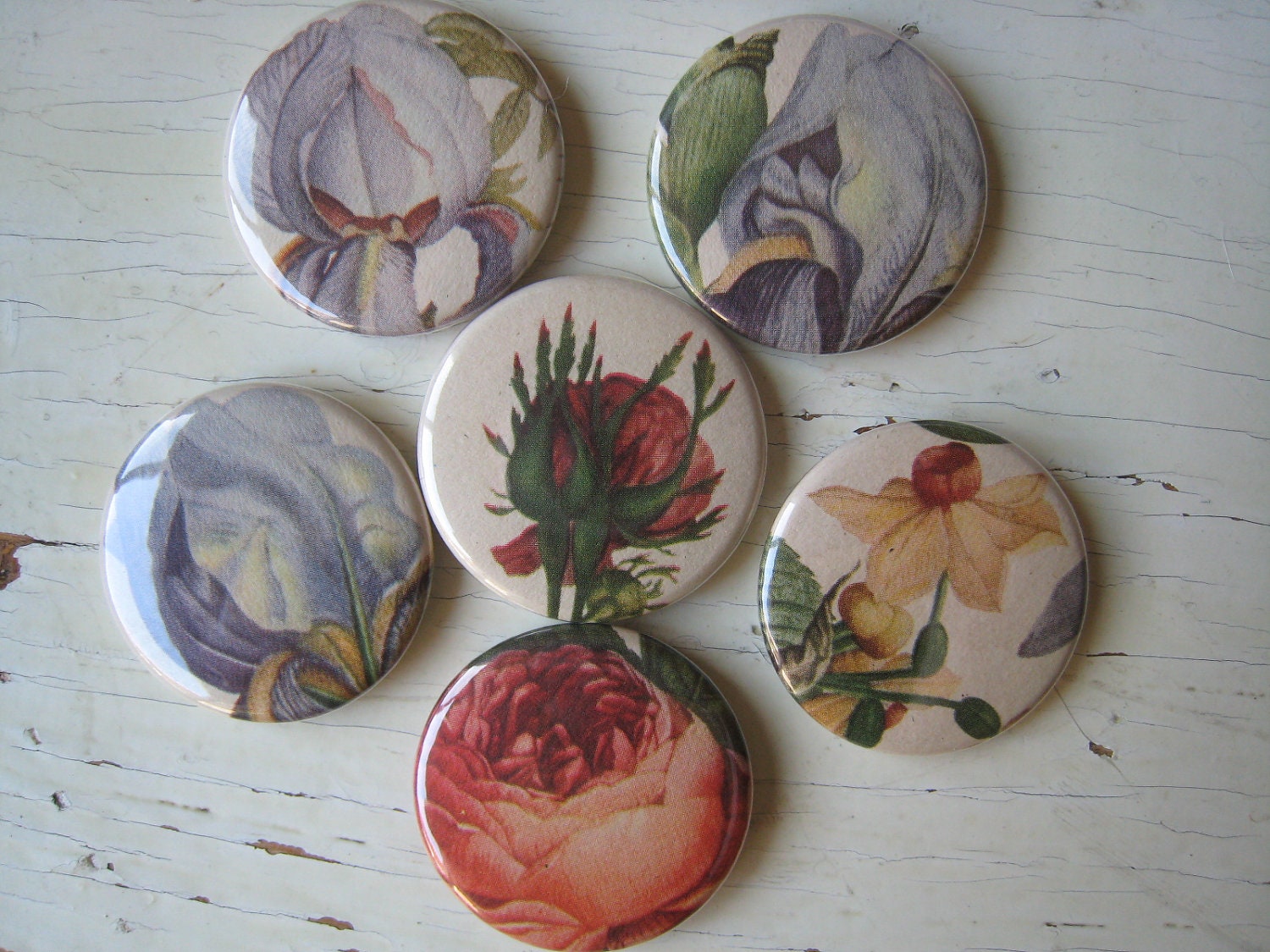 Jean Louis Prevost Vintage Dictionary Magnet Set of 6