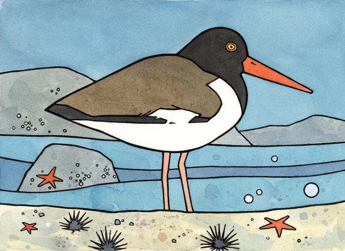 American Oystercatcher - Colorful Shoreline Illustration 5x7