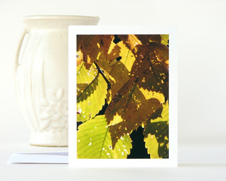 Nature Photography Note Card Fall Leaves Silhouette, autumn elm tree branch photo notecard blank stationery yellow green brown