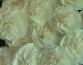 28 Large Ivory Paper Flowers