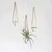 Brass Himmeli Hanging Planter / Hanging Mobile Prism no. 1 / Geometric Ornament / Air Plant Hanger