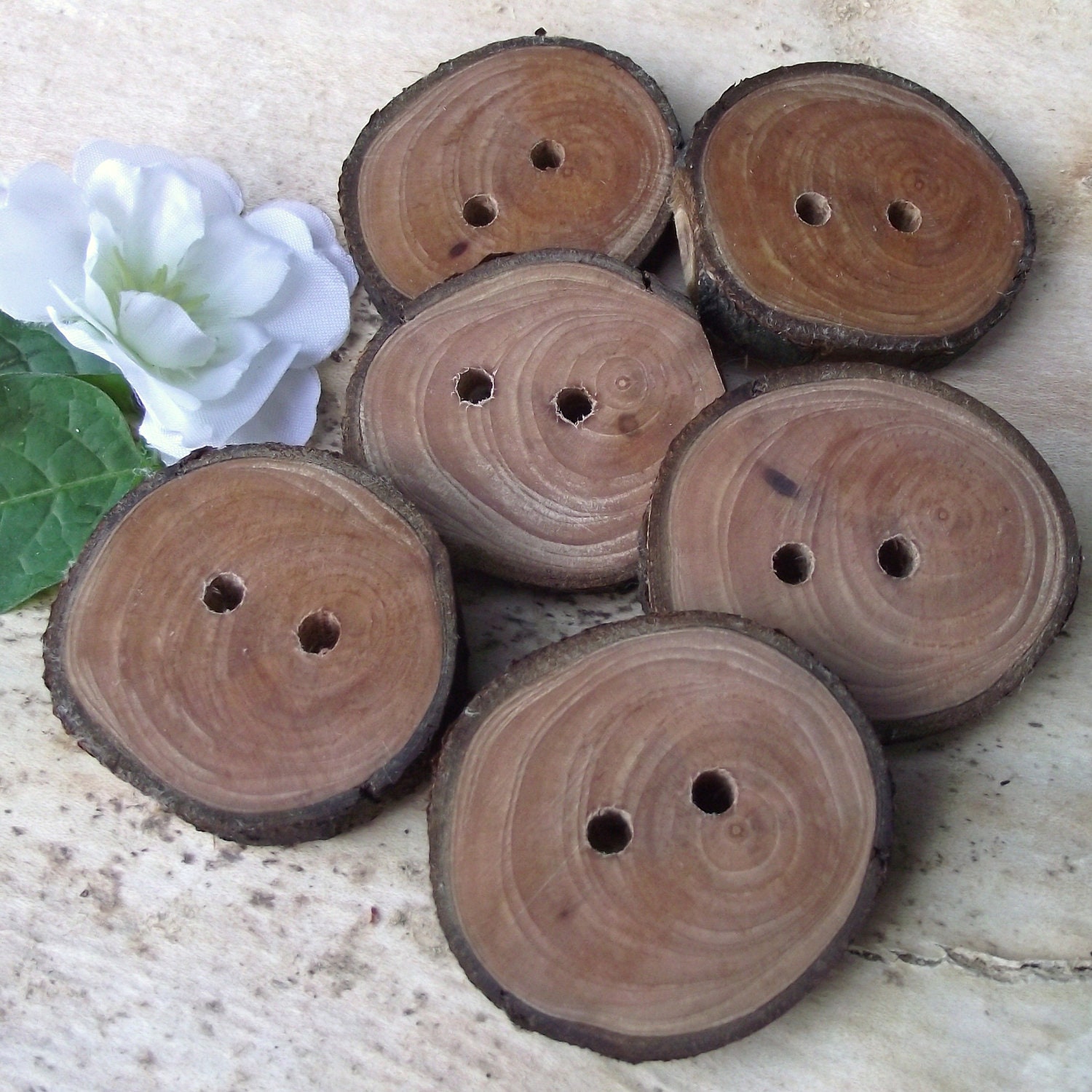 Handmade Wood Buttons - 6 Rustic Wooden Tree Branch Buttons with Bark - 1 1/2 x 1 3/8 inches, 2 holes, For Journals, Pillows, Purses