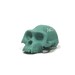 Ardi chalkboard skull