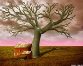 THE SILO TREE...16X20 matted fine art giclee print / photograph collage