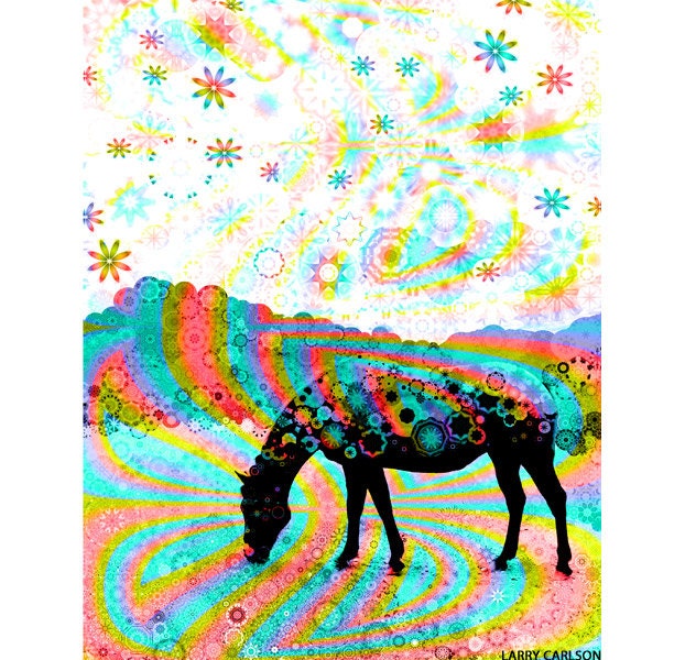 Horse Sparkles...16x20 matted fine art landscape photograph / matted giclee print