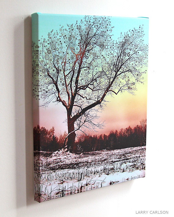 Winter Star Tree...16x20 gallery wrap canvas / fine art giclee print/ nature photograph