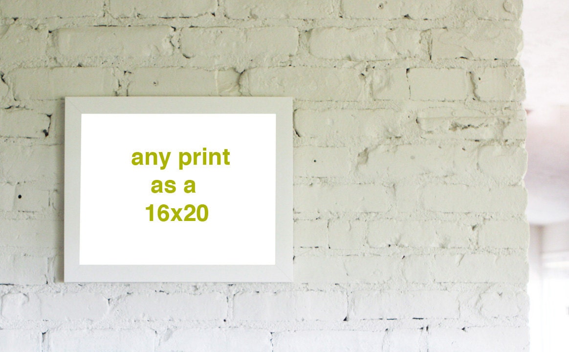 Any Print 16x20 Archival Fine Art Photograph