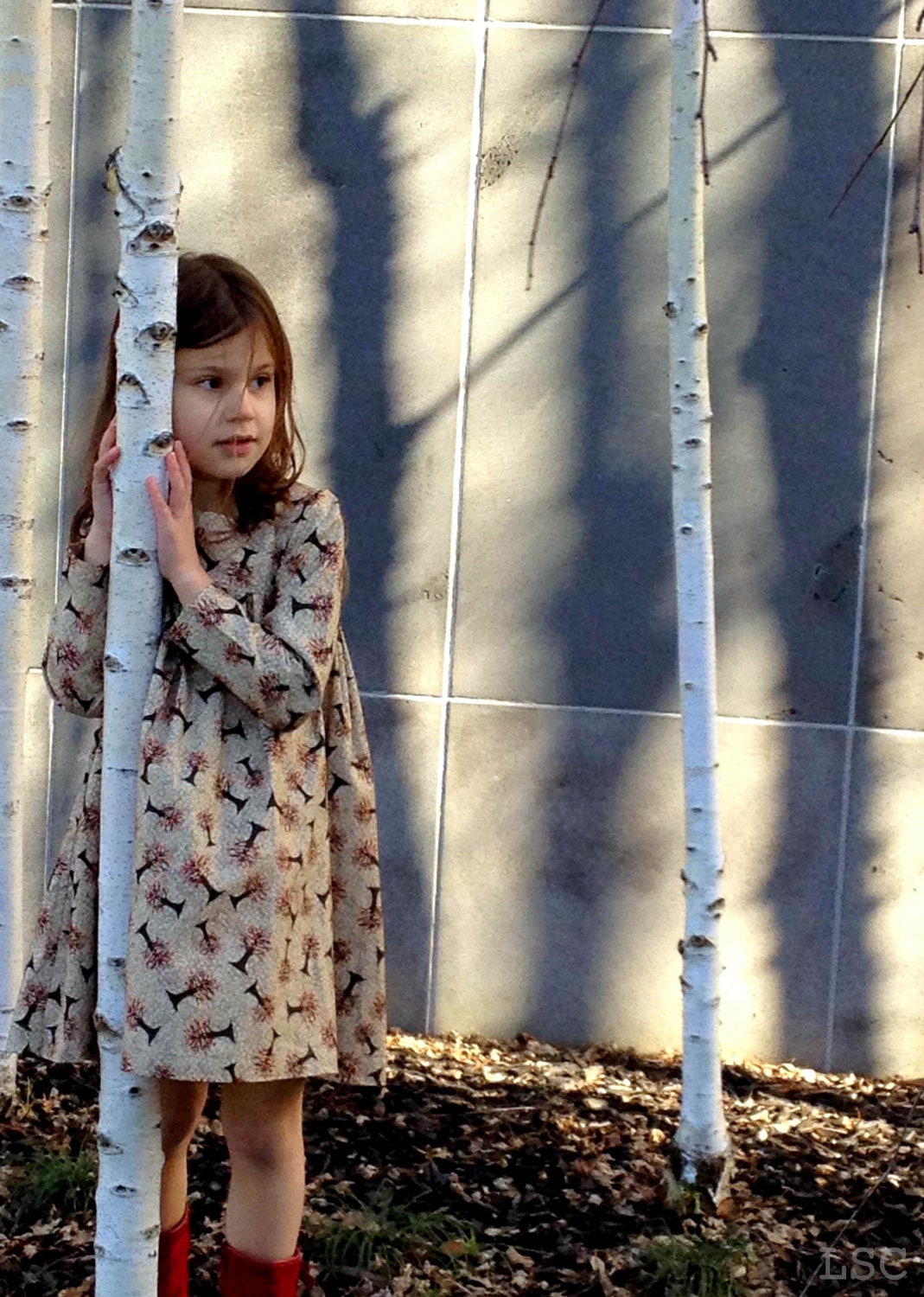 girls dress l size 2 l prairie long sleeve dress in autumn forest l handmade l Ready to Ship