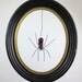 Wee Dangly Czechoslovakian Red Glass Spider Repurposed Art