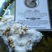Del Mar Apothecary Gothic Alchemy Herbal Bath Tea Salt 5. oz Chamomile,Ylang Ylang,Sandalwood, White Tea, Oak Moss,Lime