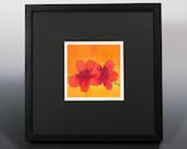 Colorful Flower signed limited edition giclee print framed with black or white matting painting