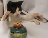 SALE Cat Stoneware Lidded  Jar, With a miniature sleeping cat of porcelain and a real spooky cat (-: