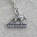 Tiny Silver Thylacine Tasmania Necklace