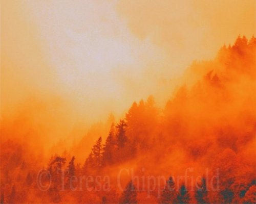 Fine Art Landscape Photography - "On Fire" 8 x 10 Digital Print, Vibrant, Hot, Red, Orange, Green, mist swept, glorious wall Art, Home decor