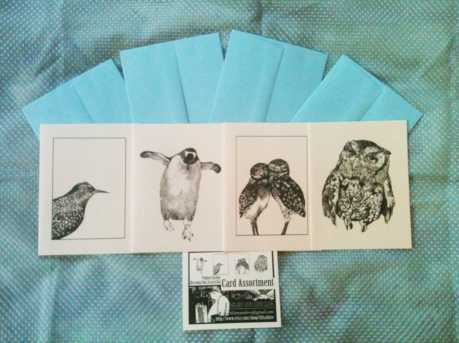 Bird series: set of 4 cards with envelopes (Size A2)