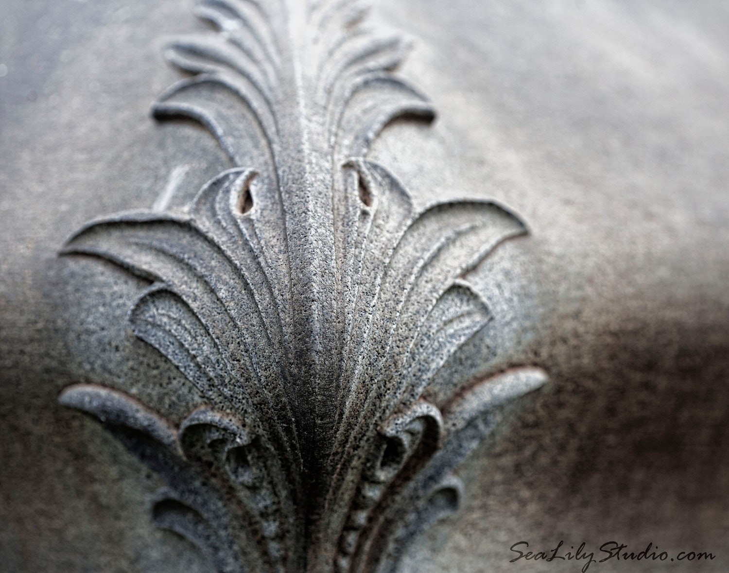 Granite Scroll 11x14 : gothic photo art nouveau sculpture cemetery photography home decor fine art print