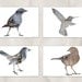 bird silhouette postcard set, photography postcards, set of 4, blank notecard, animal art, gray, blue, reclaimed wood art