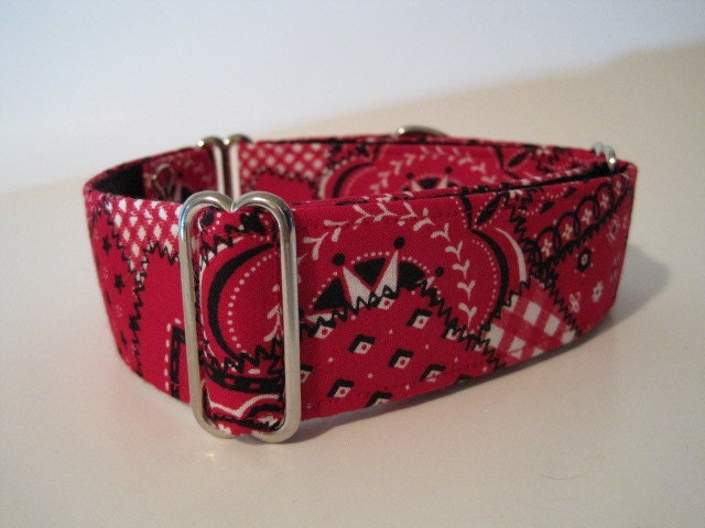 Red Martingale Collar, Bandana, Red, Cowboy, Dog Collar, Black, Greyhound Collar, Adjustable