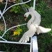 Needle Felted Swan -ready to ship -  storybook decor -Children of Lir-The Wild Swans, fantasy