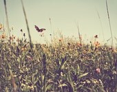 nature boho butterfly wildflowers flowers home decor gold green aqua blue feminine pink - Flutterby - 8 x 10 Fine Art Photography Print