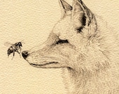 The Fox and The Bee - Limited Edtion print by Amy Dover