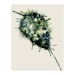 Woodland Botanical Print