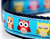 Colorful Owls Dog Collar / Pet Accessories