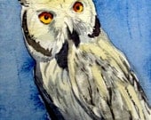 Owl Art- "Contemplative"  - ACEO Watercolor Painting