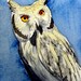 Owl Art- "Contemplative"  - ACEO Watercolor Painting