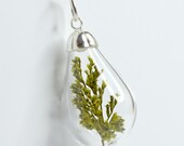 Natural green leaf Moss in tear drop blown glass silver necklace